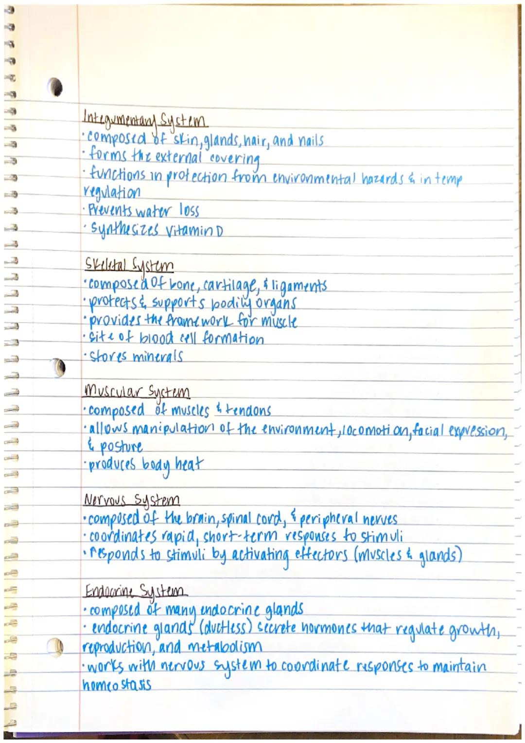1111111
IL
[Chapter 1 Notes]
--Anatomy - the study of structure and form
→ the word anatomy is derived from the Greek word.
anatome, which m
