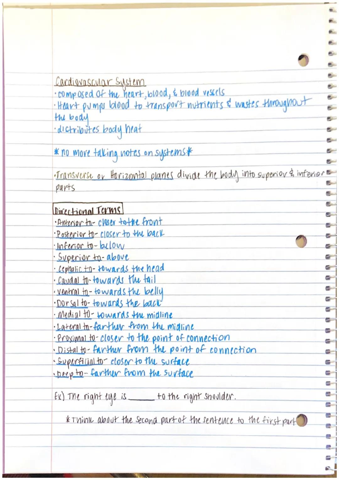 1111111
IL
[Chapter 1 Notes]
--Anatomy - the study of structure and form
→ the word anatomy is derived from the Greek word.
anatome, which m
