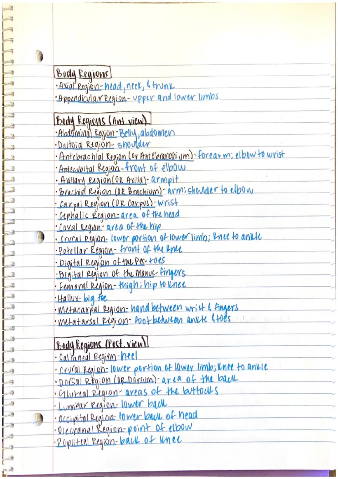 1111111
IL
[Chapter 1 Notes]
--Anatomy - the study of structure and form
→ the word anatomy is derived from the Greek word.
anatome, which m