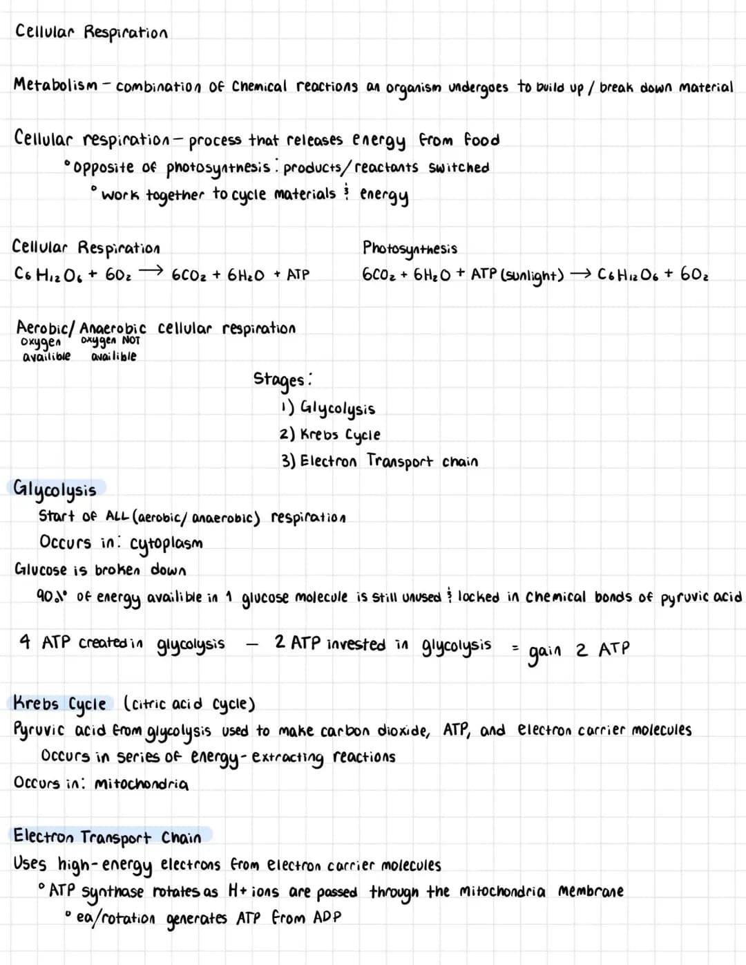 Cellular Respiration