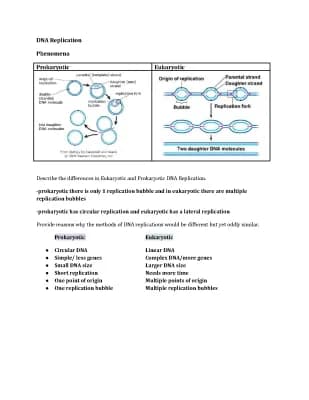 Know DNA replication thumbnail