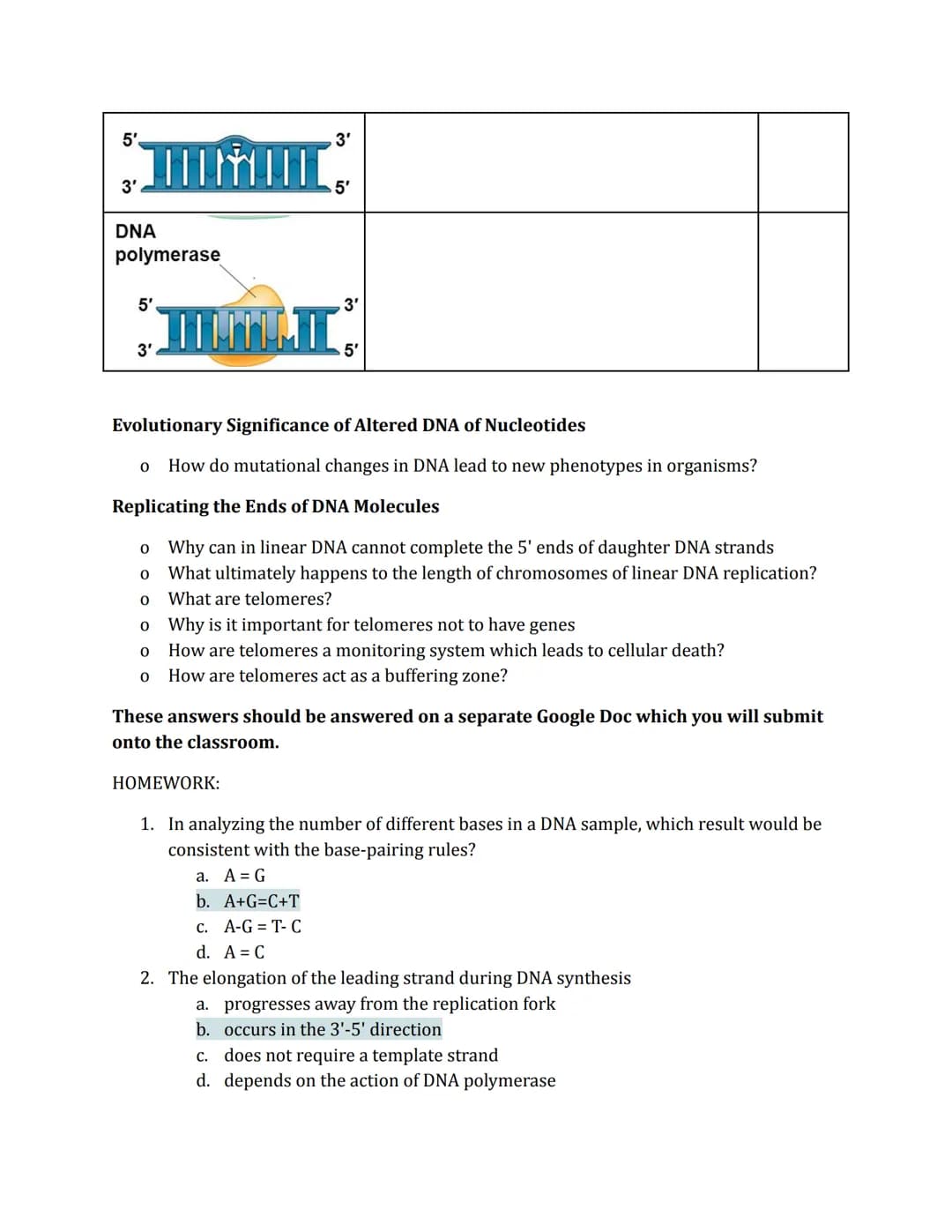 DNA Replication
Phenomena
Prokaryotic
origin of
replication
double-
stranded
DNA molecule
two daughter
DNA molecules
parental (template) str