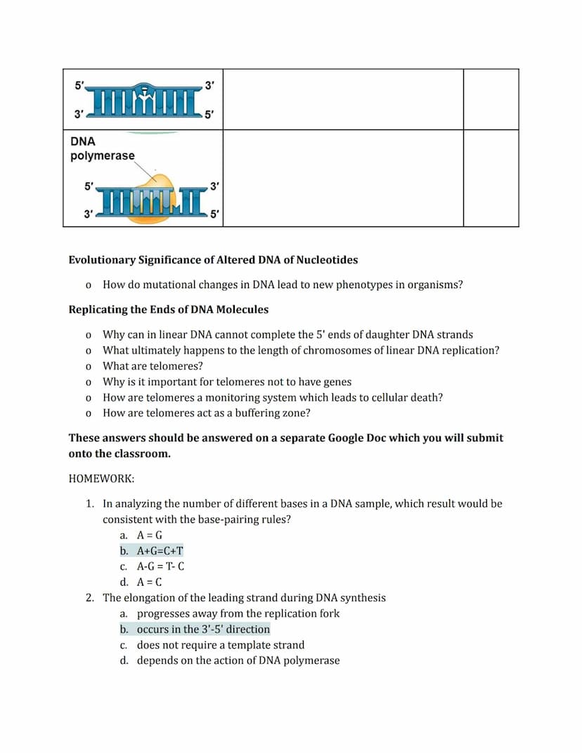 DNA Replication
Phenomena
Prokaryotic
origin of
replication
double-
stranded
DNA molecule
two daughter
DNA molecules
parental (template) str