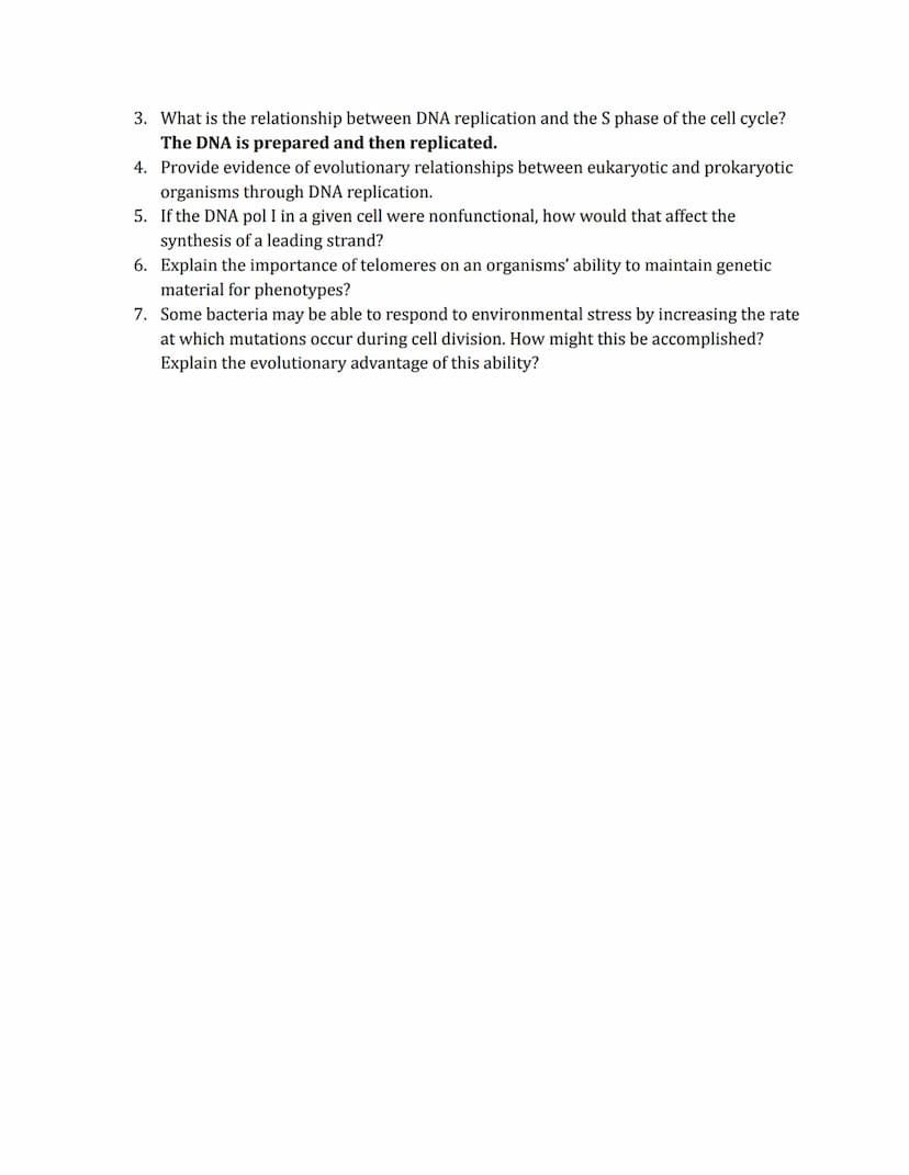 DNA Replication
Phenomena
Prokaryotic
origin of
replication
double-
stranded
DNA molecule
two daughter
DNA molecules
parental (template) str