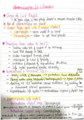 Know Plants: Origin, Types, and Life Cycles thumbnail