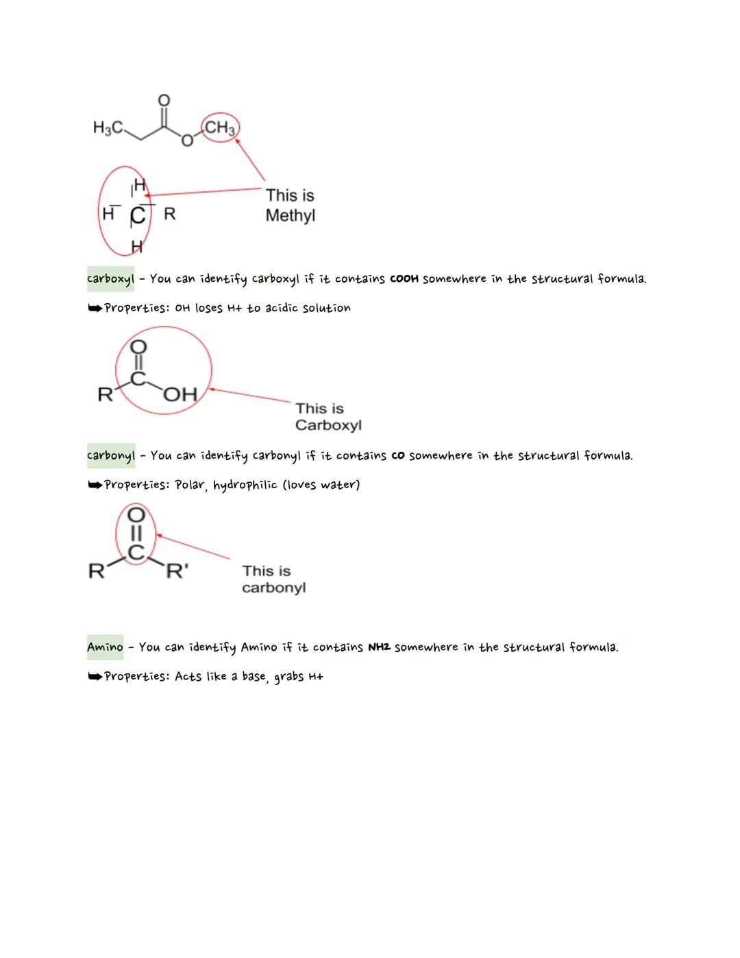 Cherestry Carbon
carbon (Review)
IN THIS SECTION:
1) organic VS Inorganic
2) Hydrocarbons
3) Molecular vs Structural VS Empirical Formula
4)