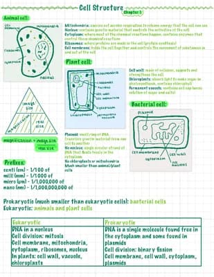 Know Cell Structure - GCSE BIOLOGY  thumbnail