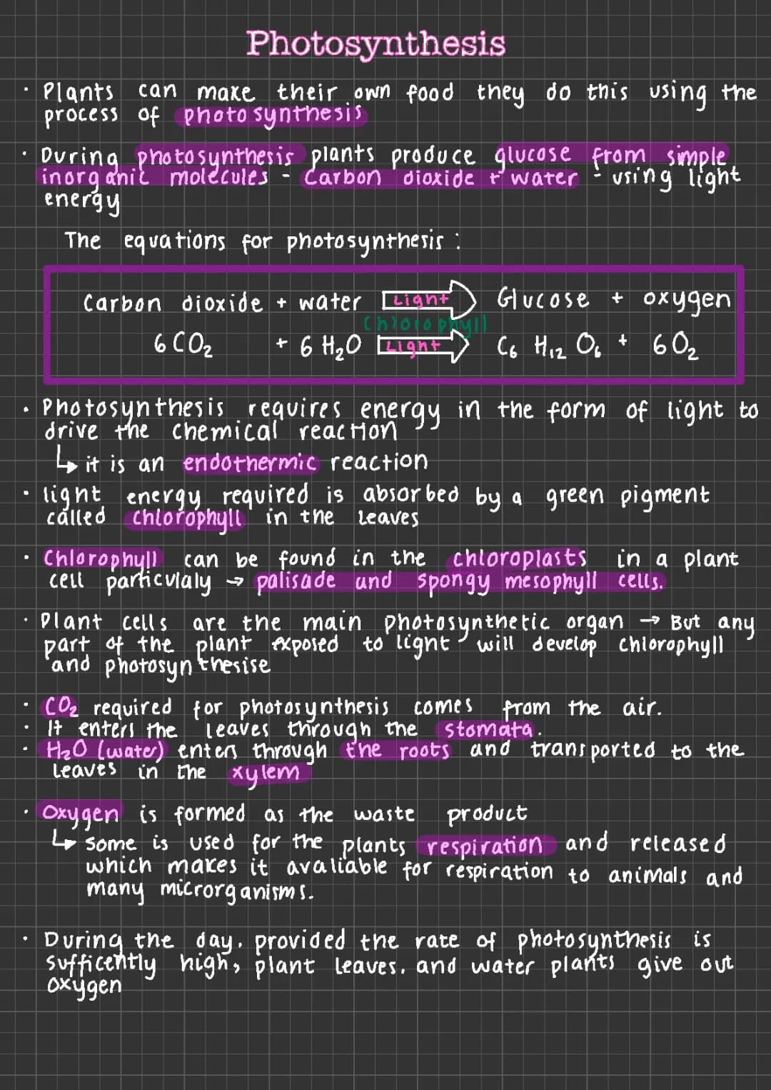 Free Photosynthesis Notes PDF - GCSE & A Level Biology, Factors and Methods of Measurement