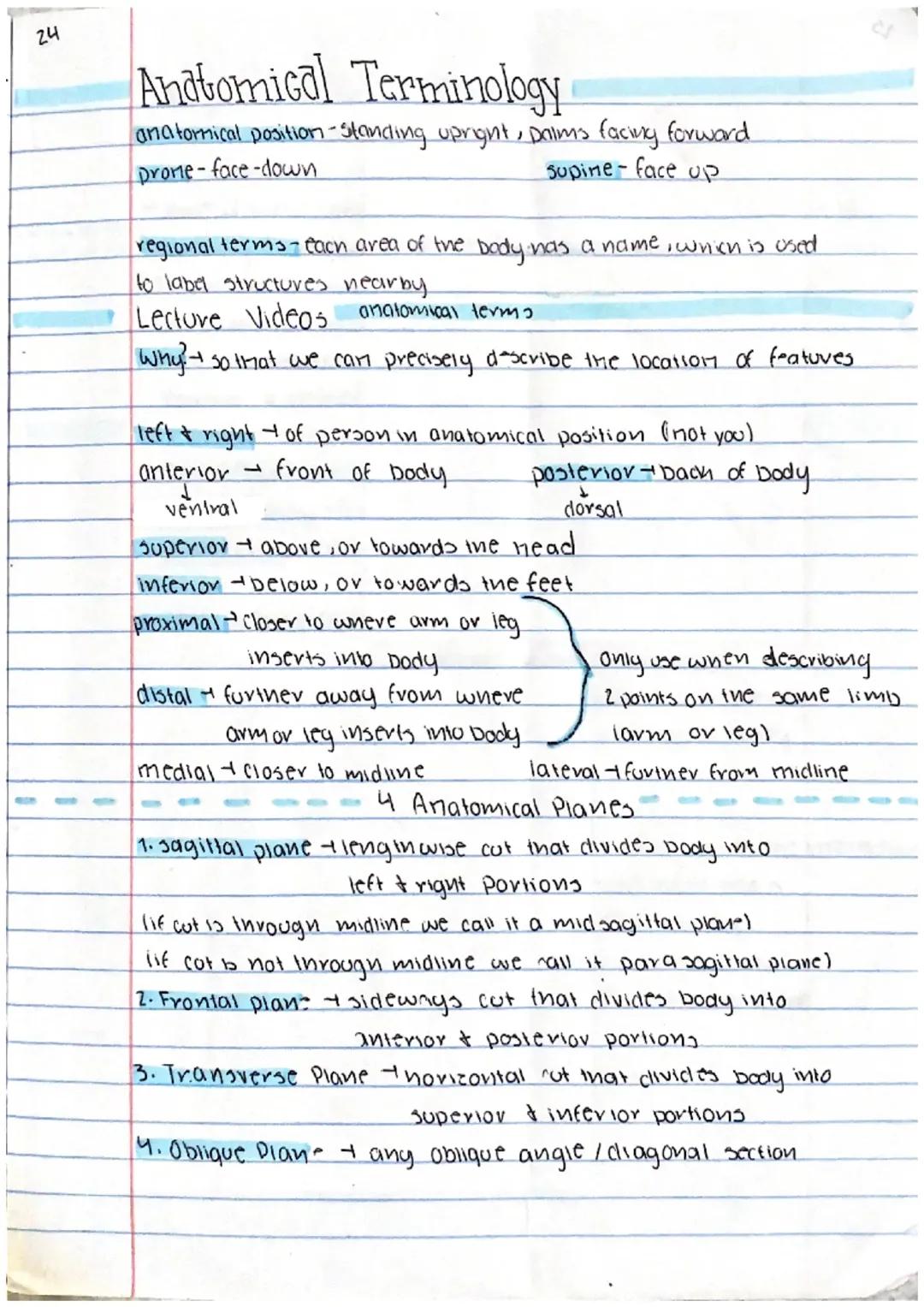 Introduction to Anatomical Terminology