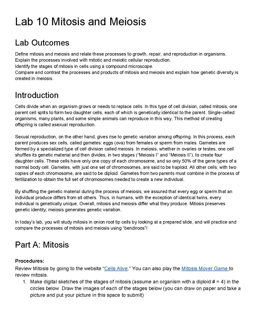 Notes on Mitosis laboratory for AP Bio