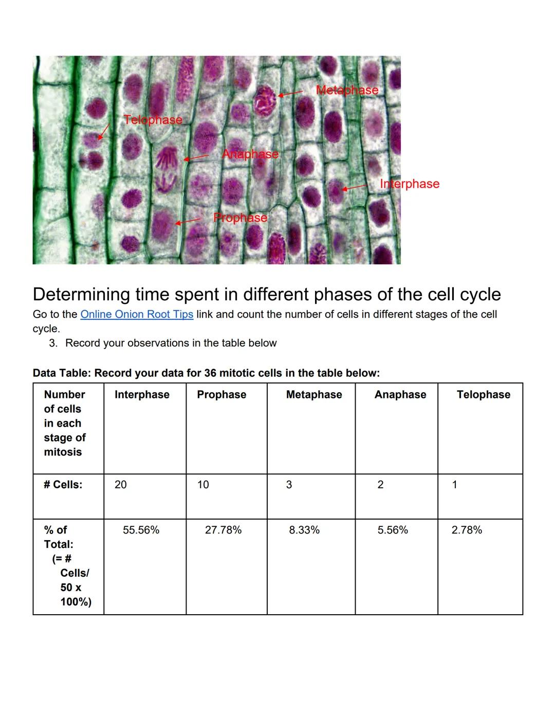 Lab 10 Mitosis and Meiosis
Lab Outcomes
Define mitosis and meiosis and relate these processes to growth, repair, and reproduction in organis