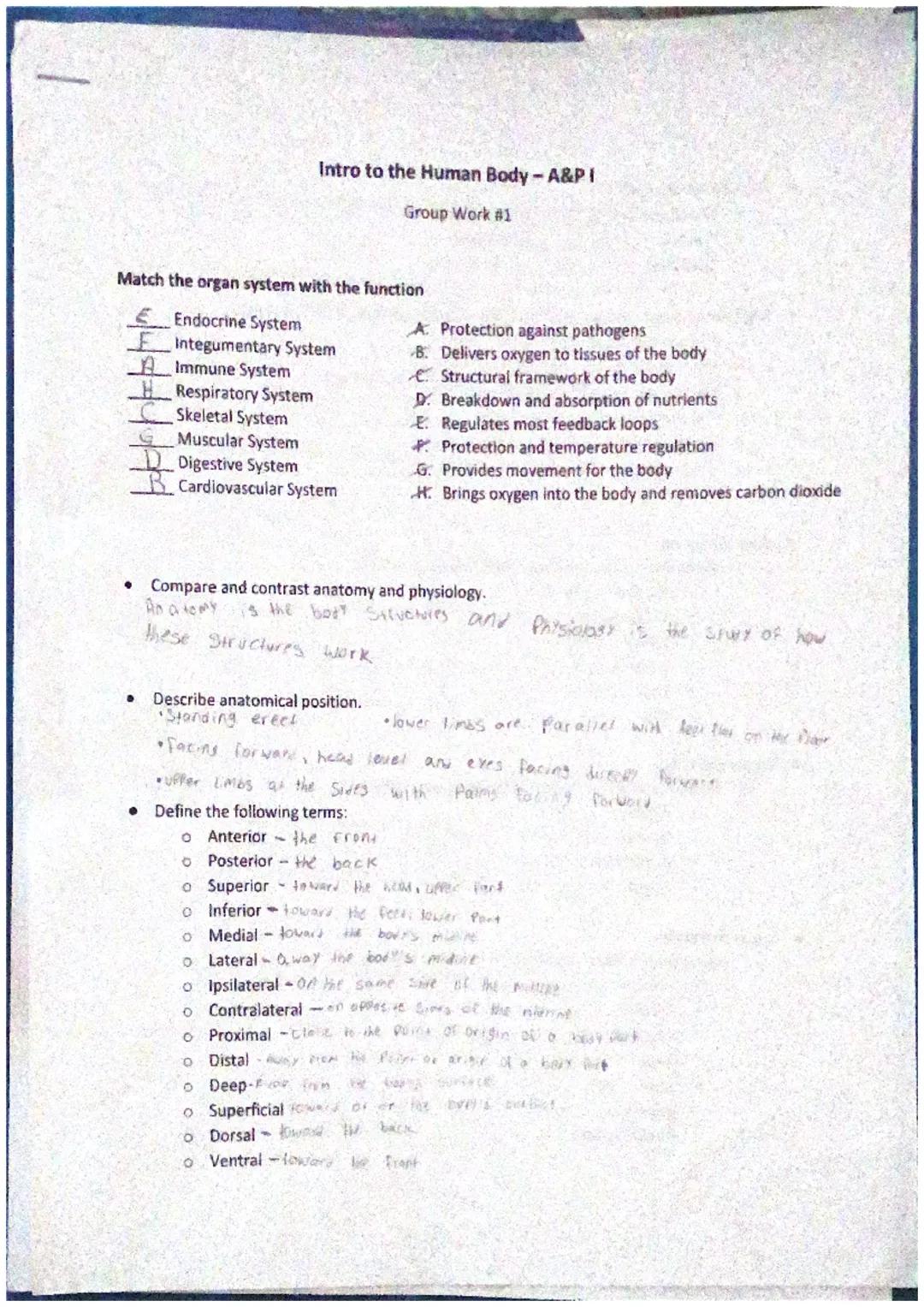 14941139
Intro to the Human Body-A&PI
Match the organ system with the function
Endocrine System
Integumentary System
Immune System
Respirato