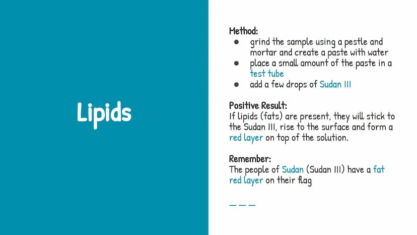 Food Tests
Required Practical
Methods and Results Sugars
Method:
grind the sample with a pestle and mortar
and create a paste by adding wate