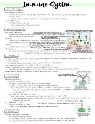 Know Adaptive Immune System thumbnail