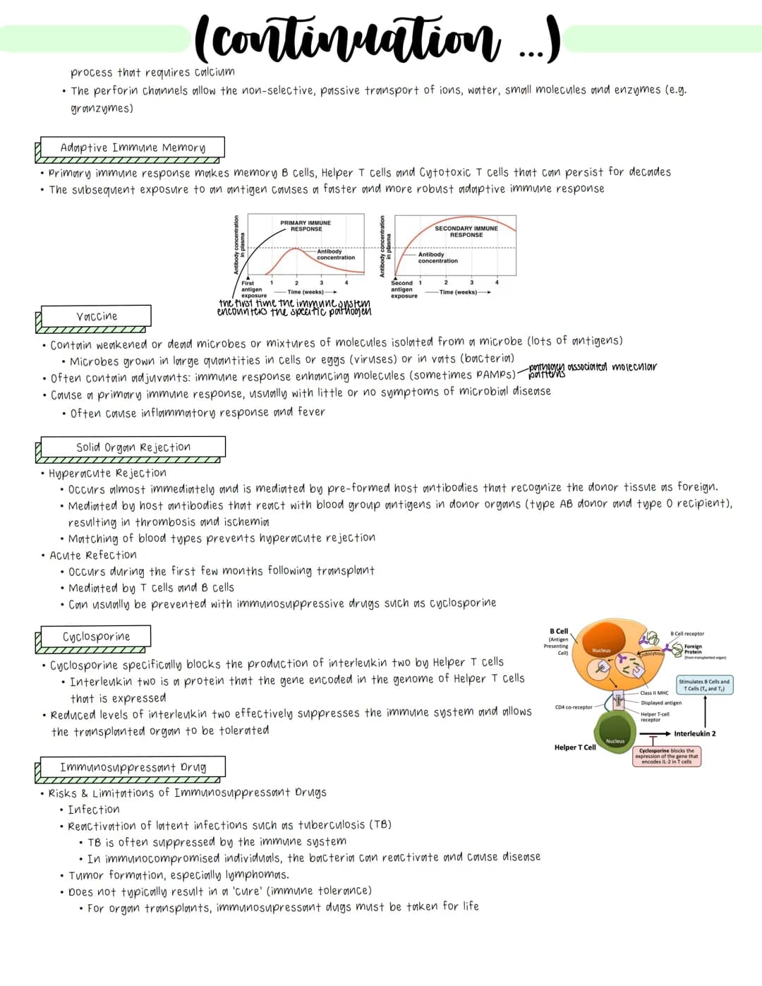 Immune System
• Cell-mediated Immunity
• Immune cells use contact with pathogens/abnormal cells and subsequent contact dependent signaling p