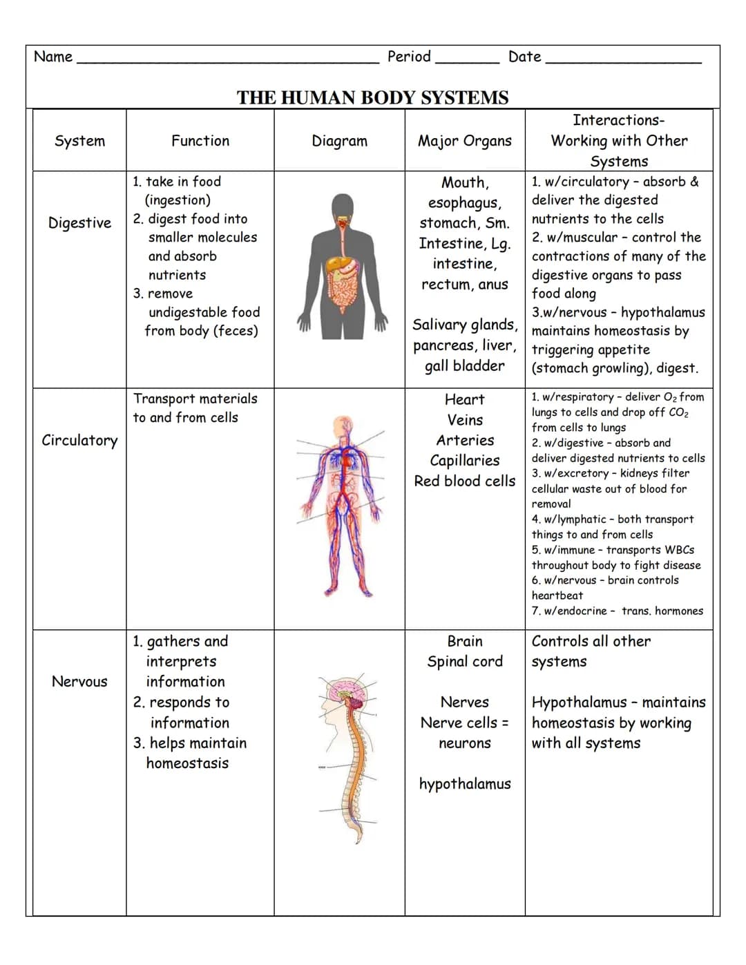 Name
System
Digestive
Circulatory
Nervous
Function
1. take food
(ingestion)
2. digest food into
smaller molecules
and absorb
nutrients
3. re