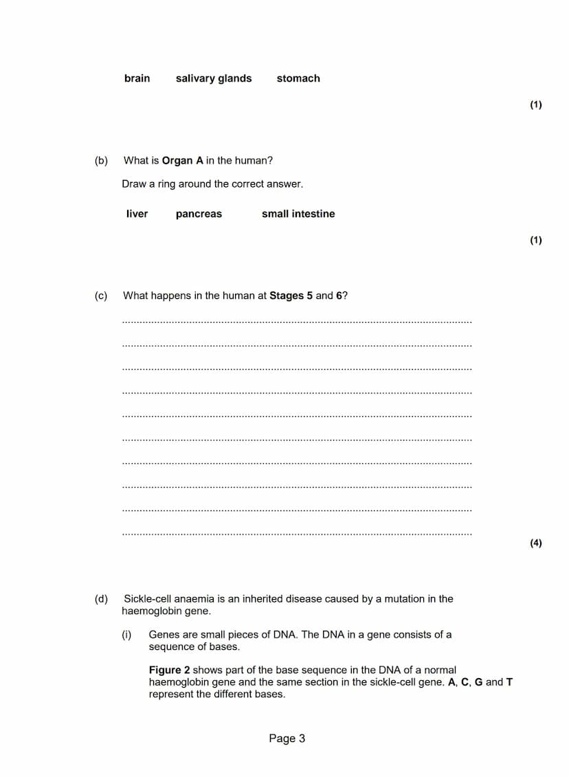 Q1.Figure 1 shows a human body cell.
(b)
(a) Which part in Figure 1 contains chromosomes?
Tick one box.
A
B
C
Type of cell
Human body cell
S