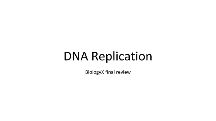 Know BioX DNA Replication and Protein Synthesis Review #1 PDF 2023 thumbnail