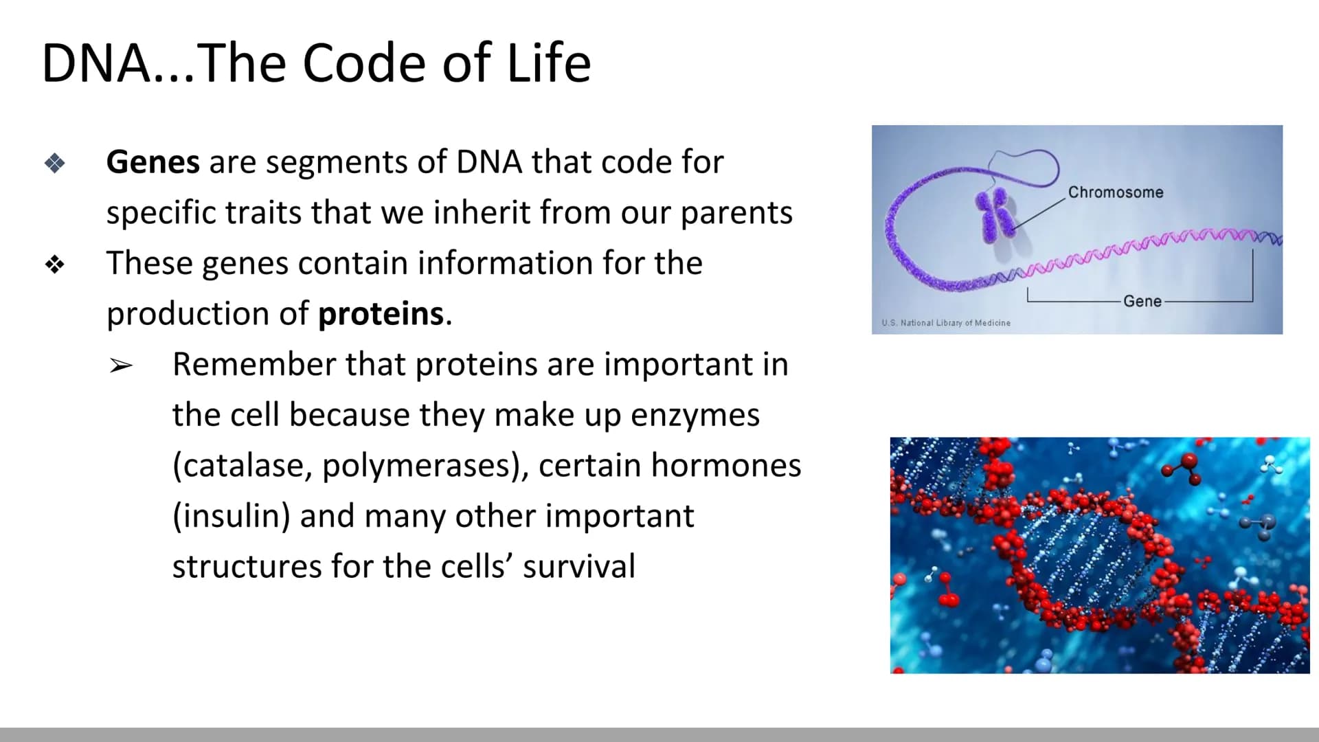 DNA Replication
BiologyX final review Cell Reproduction & DNA replication
When a cell reproduces, it divides.
When it divides, each new cell