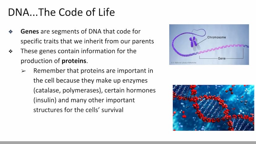 DNA Replication
BiologyX final review Cell Reproduction & DNA replication
When a cell reproduces, it divides.
When it divides, each new cell