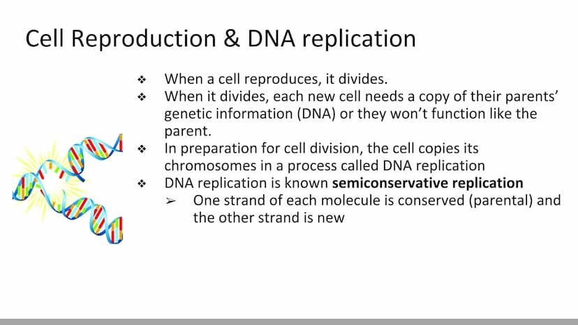 DNA Replication
BiologyX final review Cell Reproduction & DNA replication
When a cell reproduces, it divides.
When it divides, each new cell