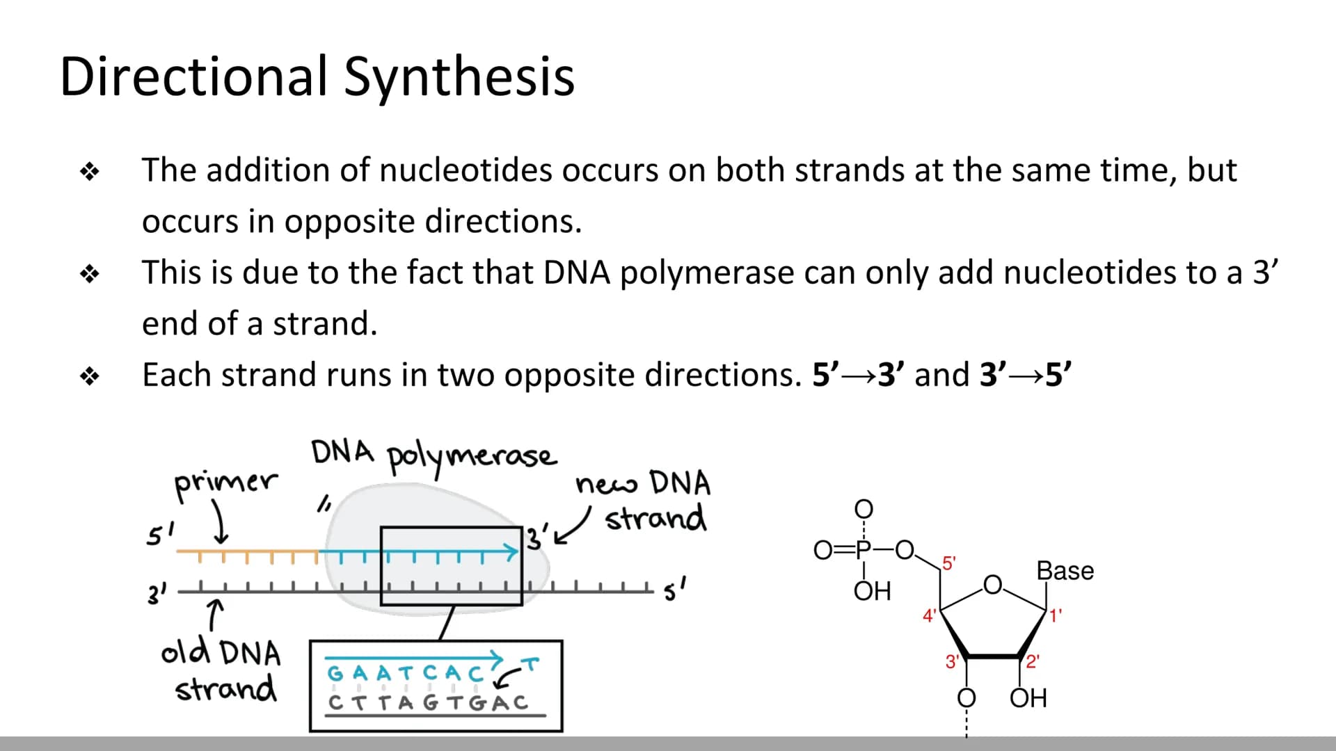DNA Replication
BiologyX final review Cell Reproduction & DNA replication
When a cell reproduces, it divides.
When it divides, each new cell