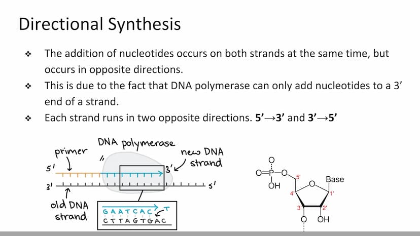 DNA Replication
BiologyX final review Cell Reproduction & DNA replication
When a cell reproduces, it divides.
When it divides, each new cell
