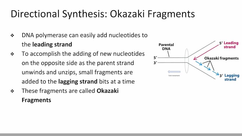DNA Replication
BiologyX final review Cell Reproduction & DNA replication
When a cell reproduces, it divides.
When it divides, each new cell