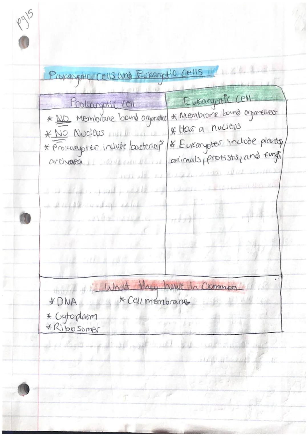 pyiz
PS Another, Bidogy

Characteristics Of Life:
-Organization
Homeostasis
Metabolism
Reproduction
Grouth and Development
-Response to stim