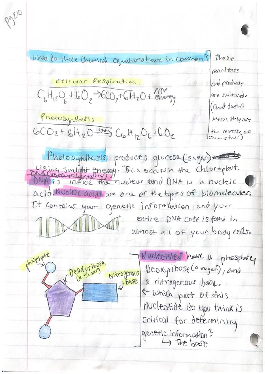 pyiz
PS Another, Bidogy

Characteristics Of Life:
-Organization
Homeostasis
Metabolism
Reproduction
Grouth and Development
-Response to stim