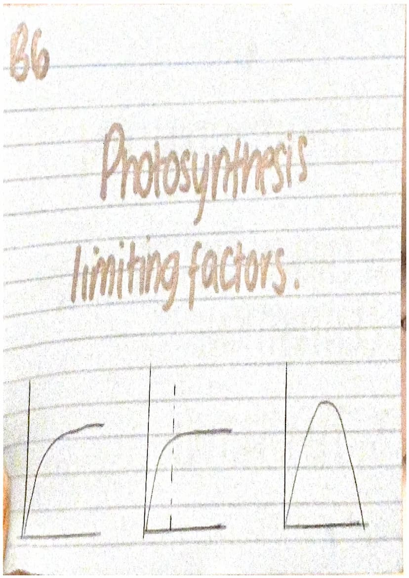Proteinancais
Cquations
(+ worded) LIGHT
WATER + CARBON DIOXIDE
GLUCOSE + OXYGEN.
(+20+CO2 →glucose + 02)
endothermic reaction! BG
3 variabl