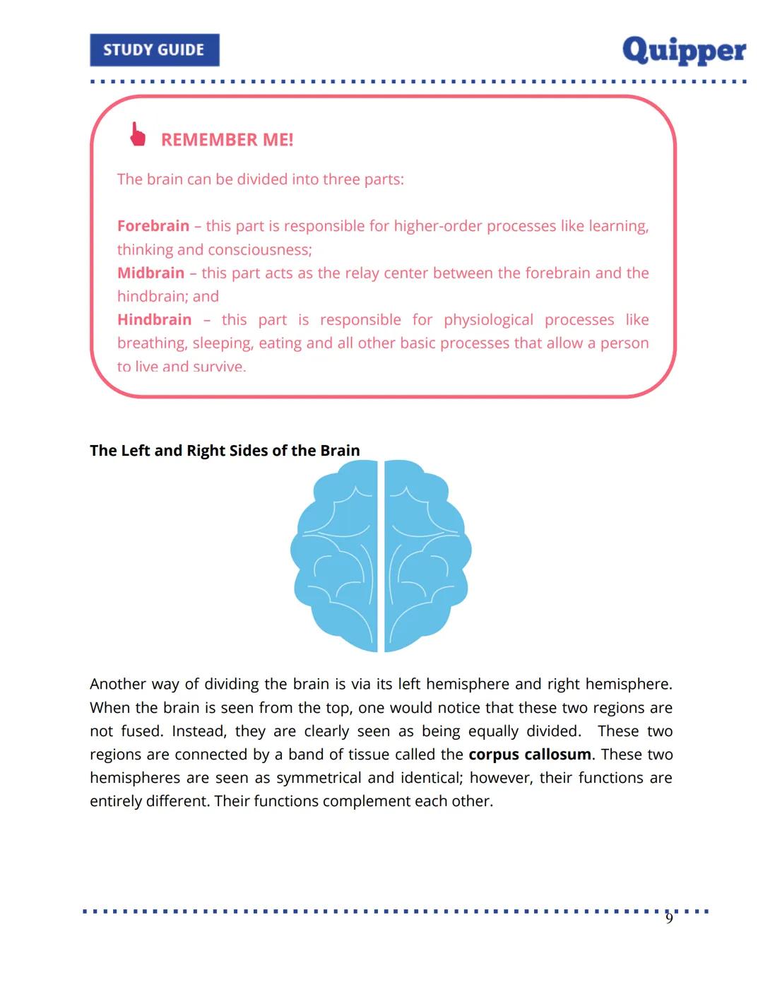 STUDY GUIDE
Quipper
UNIT 6: Developing Efficient Learning
Table of Contents
Introduction
Lesson 1: Brain Power
Jump Start
Learn about It!
Ch