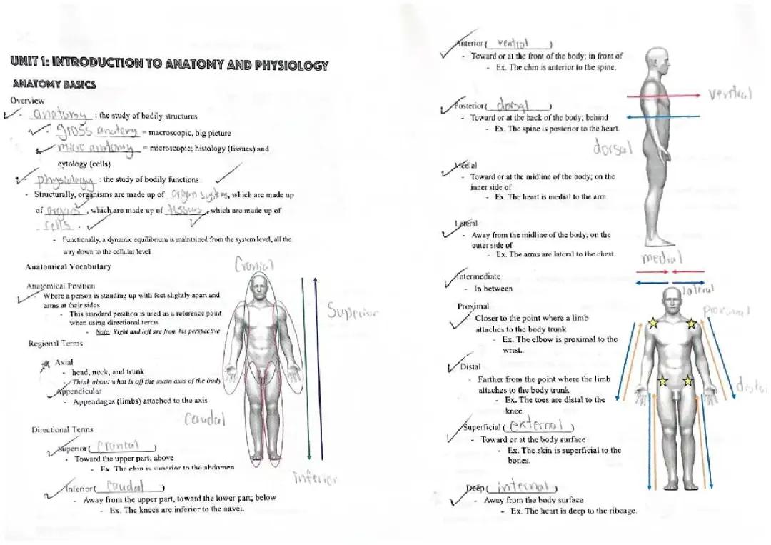 Intro to Anatomy & Physiology Fill-In-The-Blank Notes