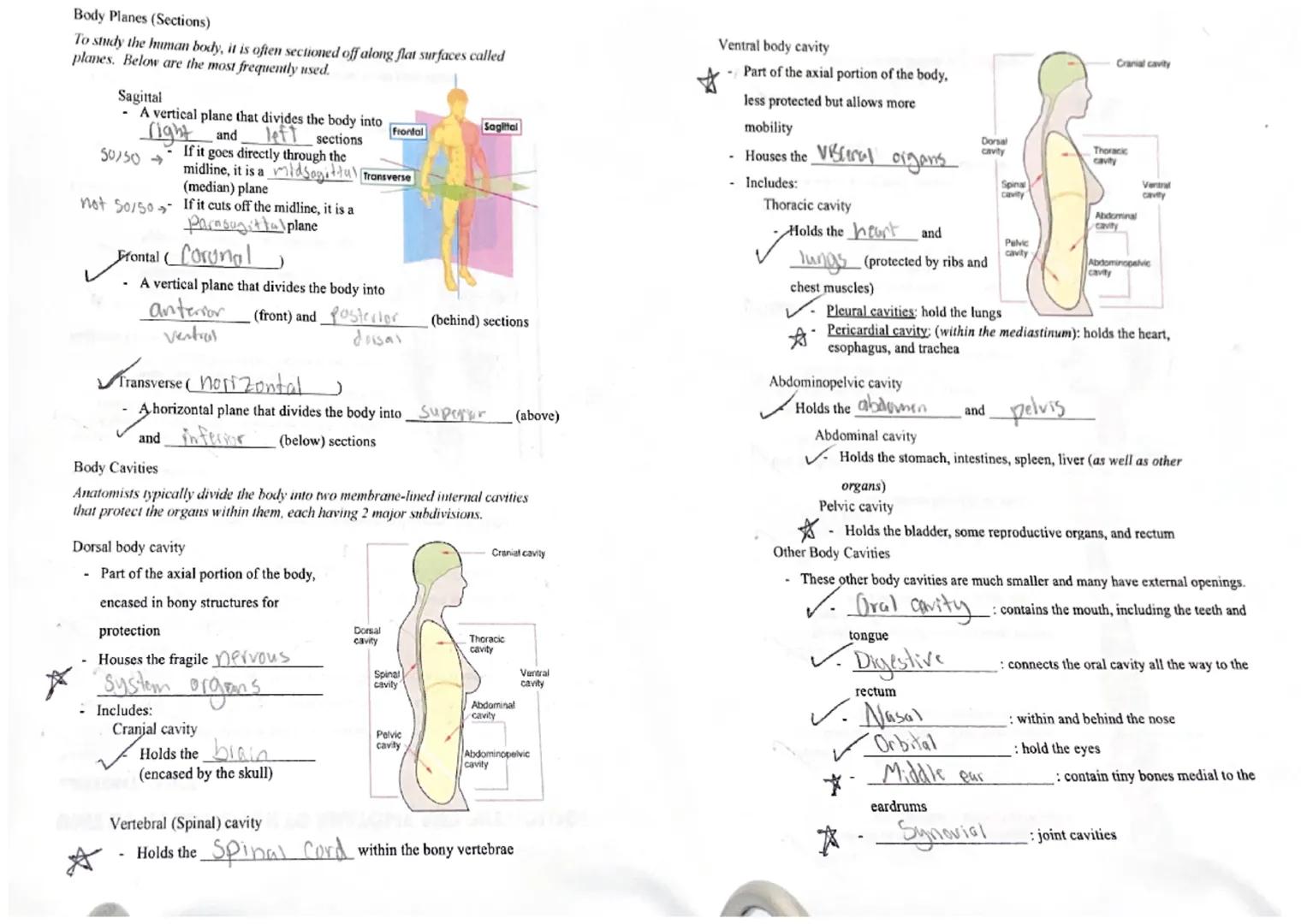 UNIT 1: INTRODUCTION TO ANATOMY AND PHYSIOLOGY
ANATOMY BASICS
Overview
2
2
anatomy: : the study of bodily structures
✓ gross anatory - macro