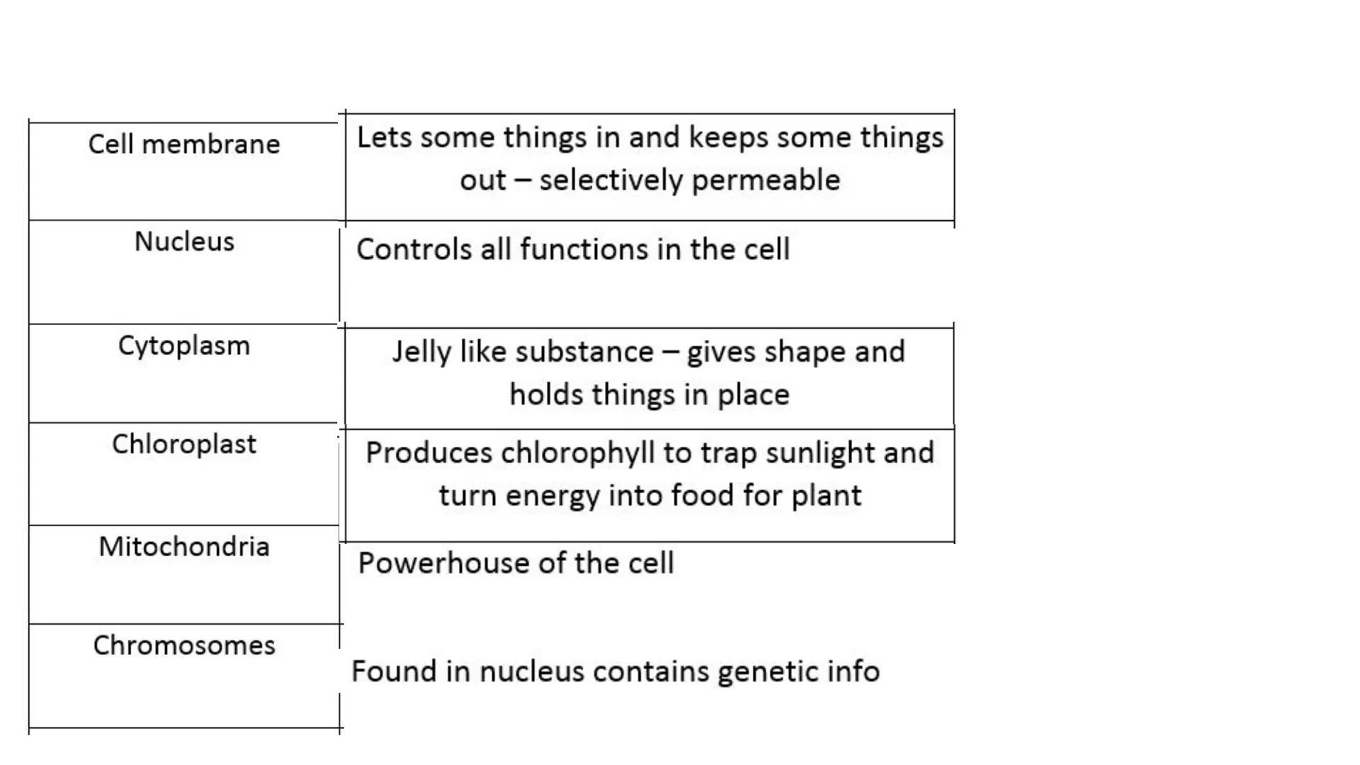 nucleus
Golgi
Complex
ribosome
ER
lo
mitochondria
Cell wall
cytoplasm
chromosome
Cell
membrane
chloroplast
vacuole Cell membrane
Nucleus
Cyt