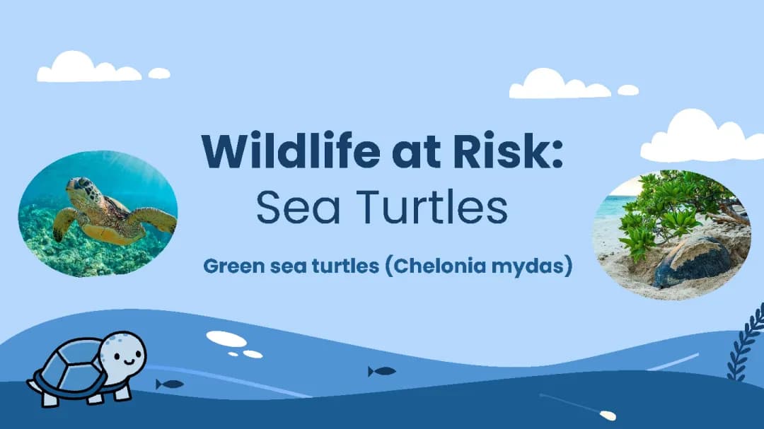 Wildlife Risk