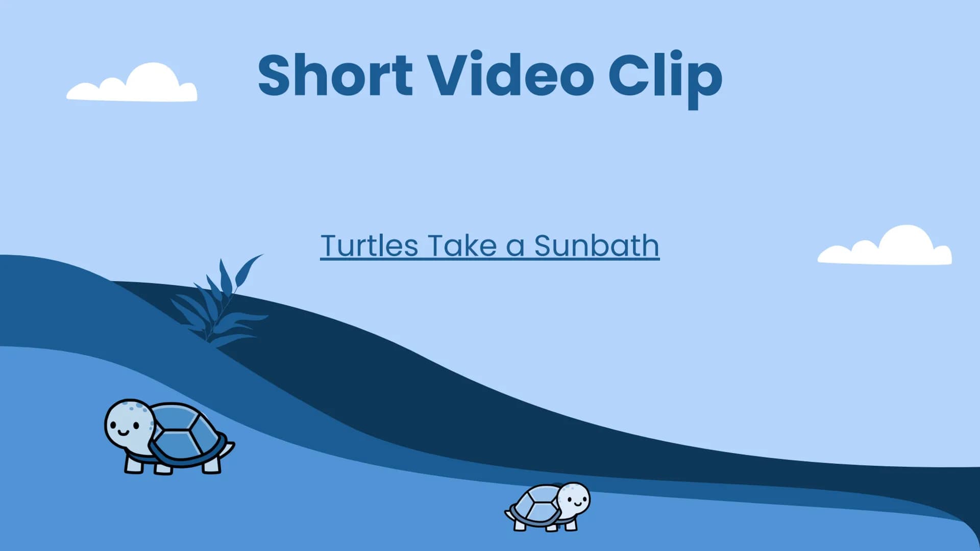 Wildlife at Risk:
Sea Turtles
Green sea turtles (Chelonia mydas) Background Information
https://www.fisheries.noaa.gov/species/green-turtle
