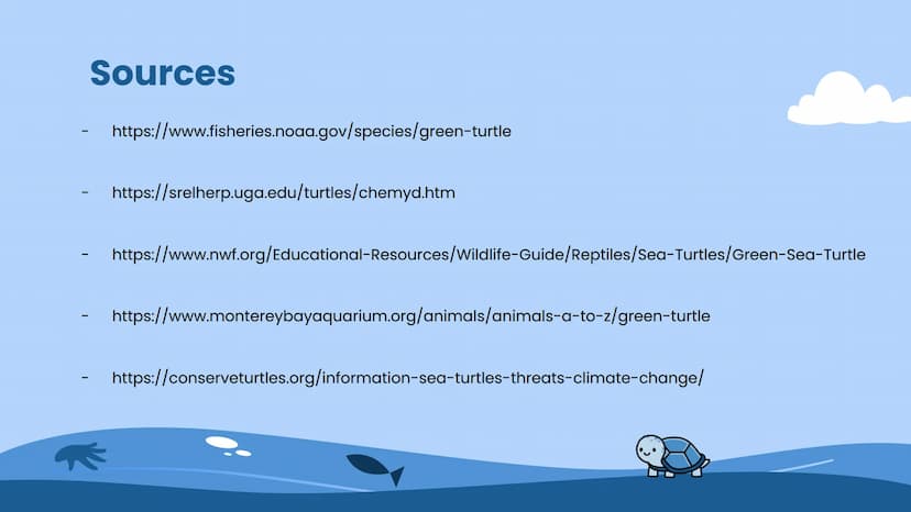 Wildlife at Risk:
Sea Turtles
Green sea turtles (Chelonia mydas) Background Information
https://www.fisheries.noaa.gov/species/green-turtle
