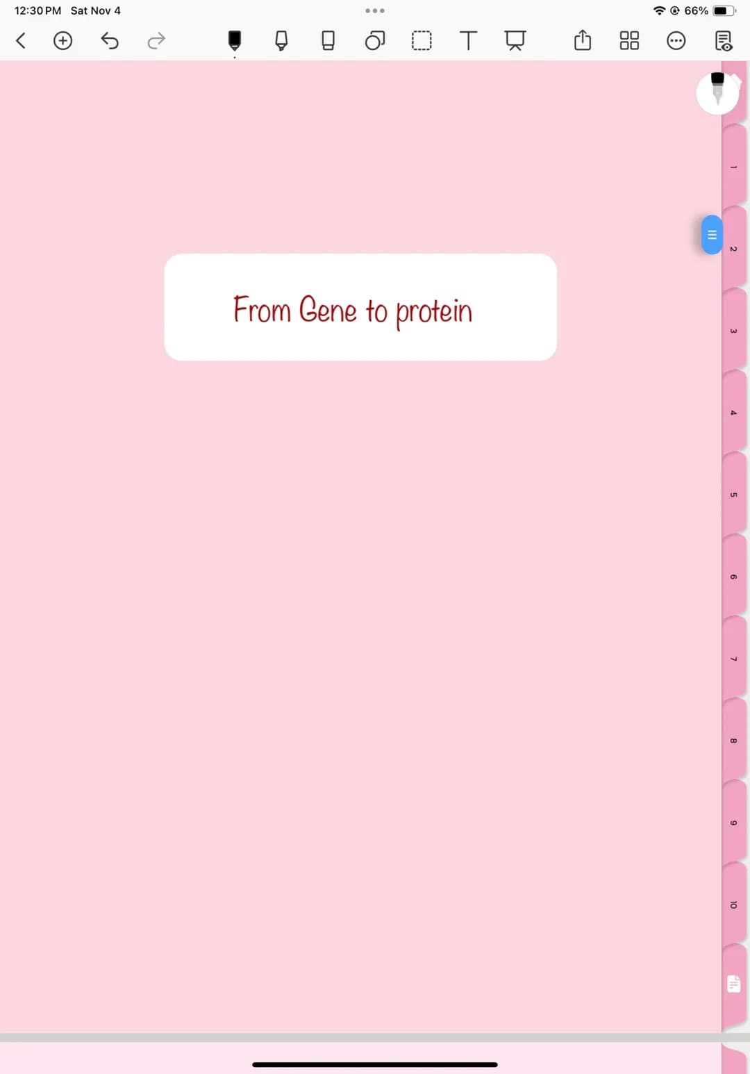 Gene to Protein: Transcription and Translation