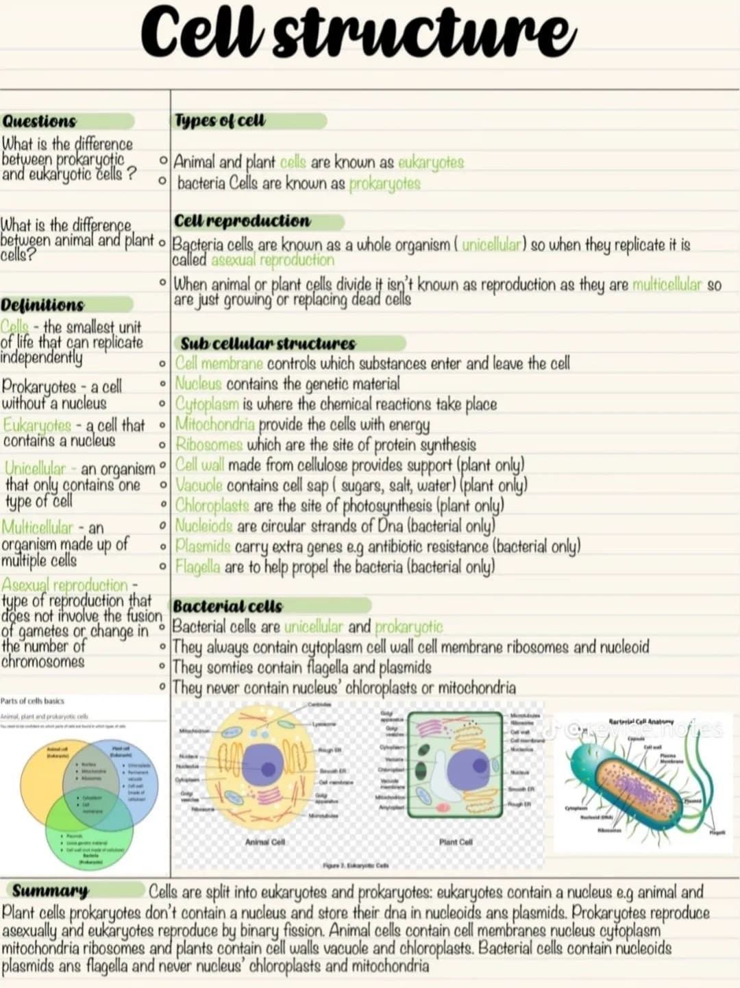 BACTERIAL CELL:
Cell wall
Important for
the structure of
cell
bosomes
Responsible
for protein
synthesis
Feature
Nucleus
Cytoplasm
Ribosomes
