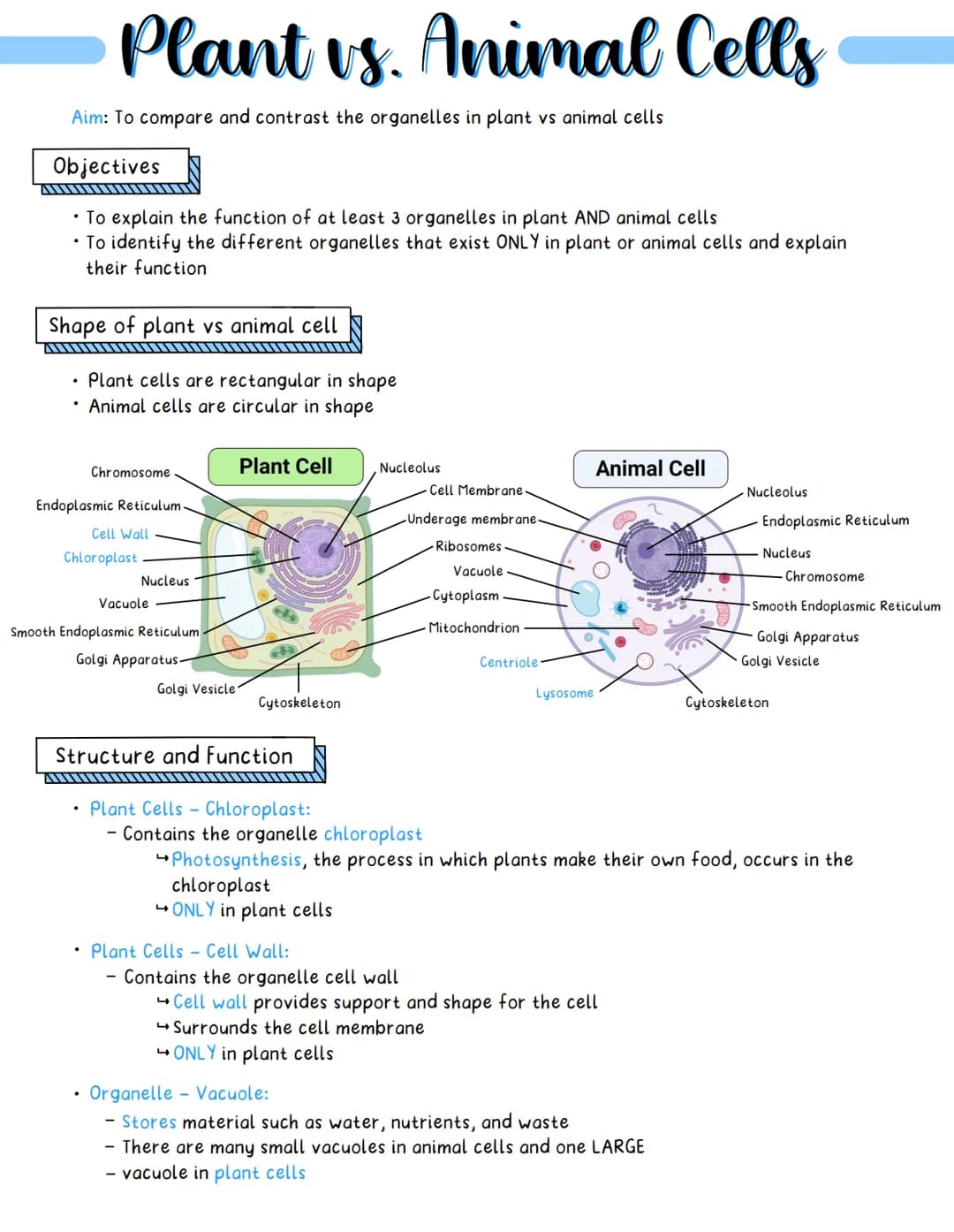 Plant vs. Animal Cells
Aim: To compare and contrast the organelles in plant vs animal cells
Objectives
AWW
• To explain the function of at l