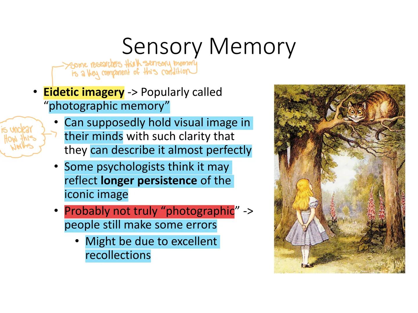 Psyc 101 - Memory
Dr Nick Reid faring
Memory
pre
• remembering something that never happen
This is a memory illusion -> false but compelling