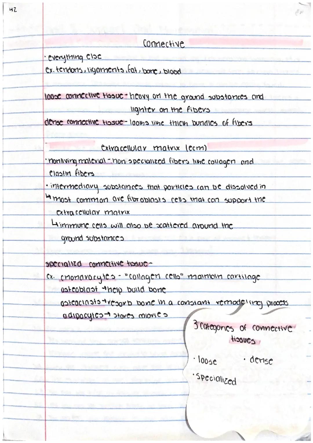 38
Intro to Histology the 4 tissue types
histology: anatomy at the microscopic level
each of your organs has different types of specialized 