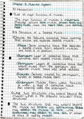 Know anatomy & physiology - chapter 8 muscular system thumbnail