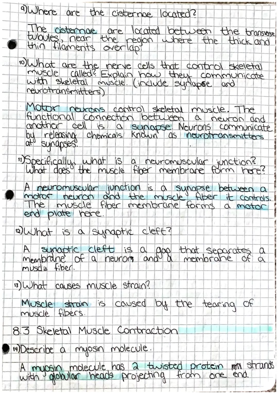 
<h2 id="introduction">Introduction</h2>
<p>The major functions of muscles include movement, toning muscle, propelling foods and bodily flui