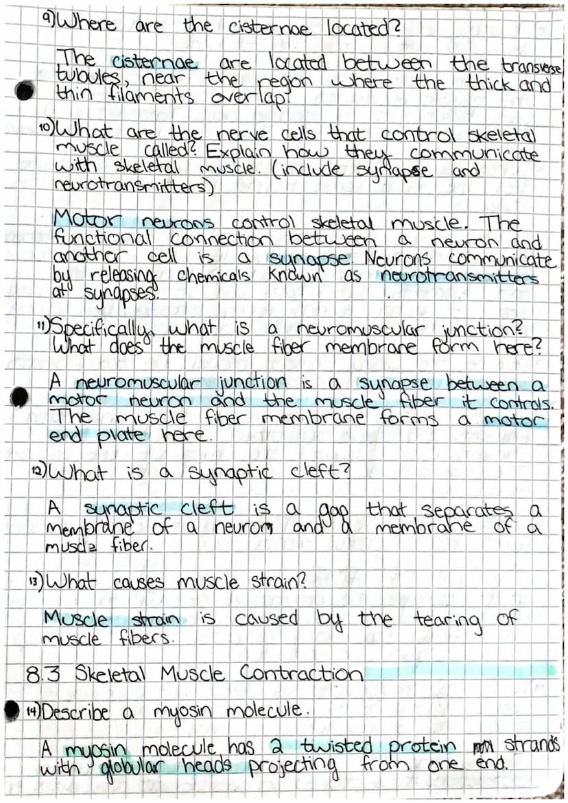
<h2 id="introduction">Introduction</h2>
<p>The major functions of muscles include movement, toning muscle, propelling foods and bodily flui