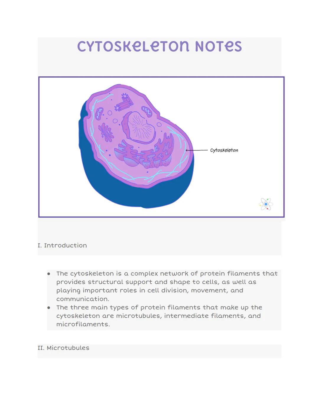 # CYTOSKELETON NOTES


I. Introduction

Cytoskeleton

- The cytoskeleton is a complex network of protein filaments that
 provides structural