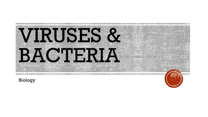 Know VIRUSES & BACTERIA Notes 2023 PDF thumbnail