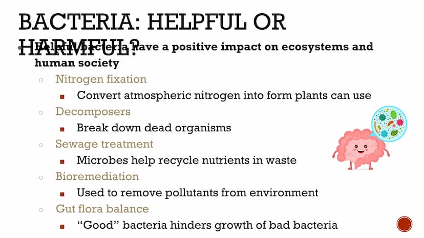 VIRUSES &
BACTERIA
Biology VIRUSES: LIVING OR NO
Most biologists do not consider
viruses to be alive.
O
A virus has no cells and cannot
repr