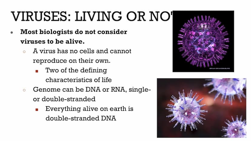 VIRUSES &
BACTERIA
Biology VIRUSES: LIVING OR NO
Most biologists do not consider
viruses to be alive.
O
A virus has no cells and cannot
repr